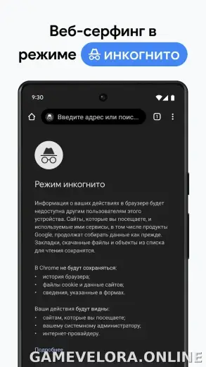 Google Chrome скриншот 3
